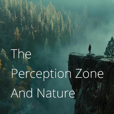 Calmness Through Connection to The Present Moment and Nature