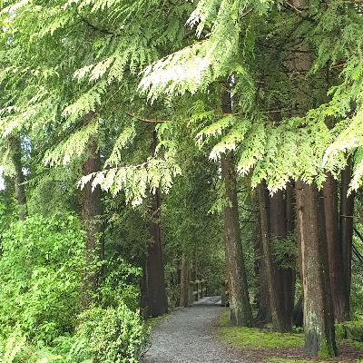 چطور میشه با استفاده از نگرانی‌ها، ترس‌ها و استرسهامون به آرامش برسیم؟!