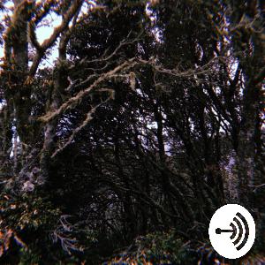 fossil fuels and renewable energy resources