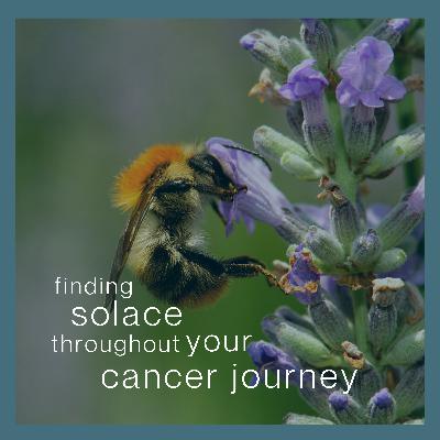 Finding Solace throughout Your Cancer Journey with Oncology Social Worker Lisa Petgrave-Nelson