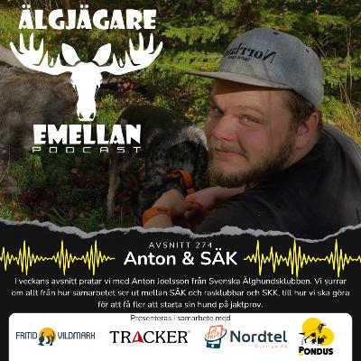 274. Anton & SÄK 274. Anton & SÄK