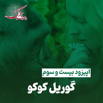 گوریل کوکو گوریل کوکو