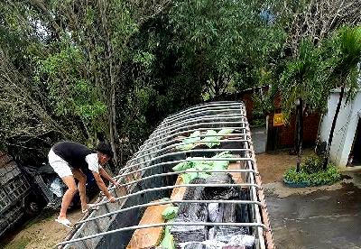 Tin giả bao vây trong mưa lũ