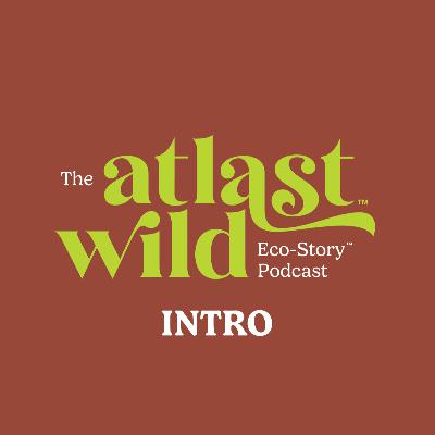Intro to Atlast Wild