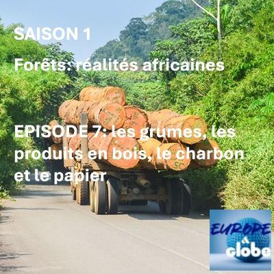Forêts : réalités africaines - Episode 7 : grumes, produits en bois, charbon, pâte à papier et papier
