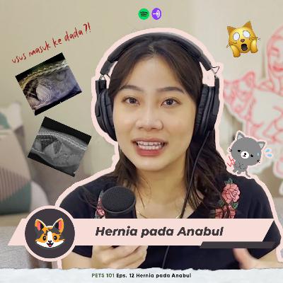 PETS 101 Eps. 12 Hernia Pada Anabul