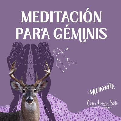 Meditación para Géminis / Serie de los signos zodiacales