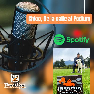 Chico, De la calle al Podium