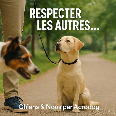 Respecter les autres… et leurs chiens