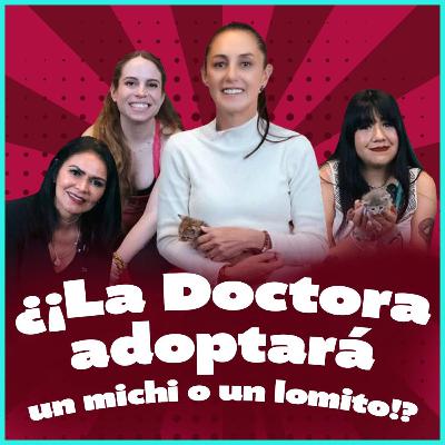 Claudia Sheinbaum atacada... ¡de ternura! por cachorritos