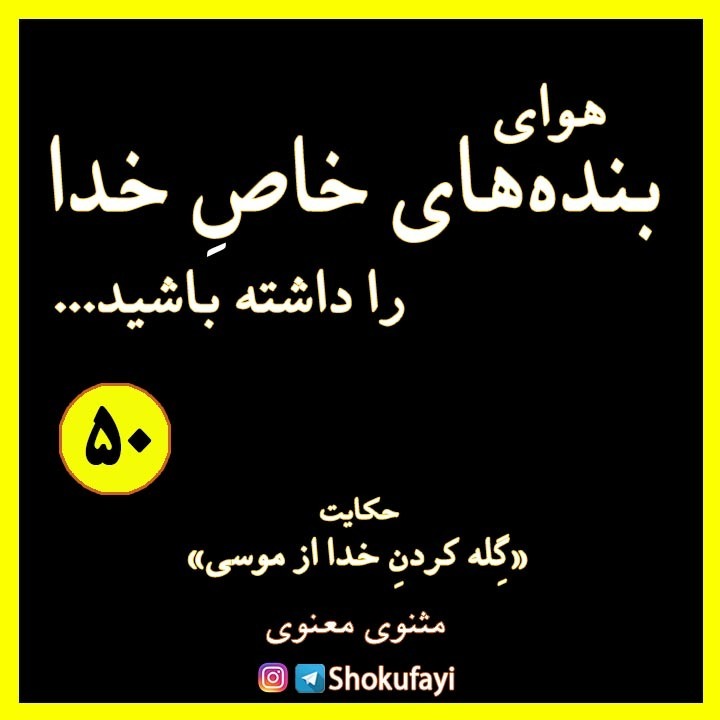 هوای بنده های خاص خدا را داشته باشید...