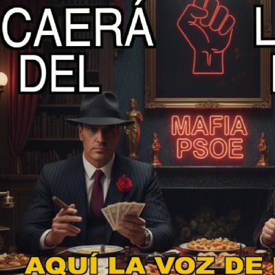 ¿Caerá la MAFIA del PSOE? ¿Caerá la MAFIA del PSOE?