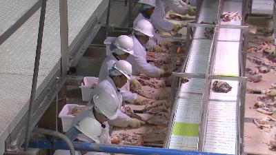 EPA Withdraws Proposed Rule for More Stringent Water Pollution Guidelines at Slaughterhouses
