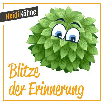 Blitze der Erinnerung Blitze der Erinnerung