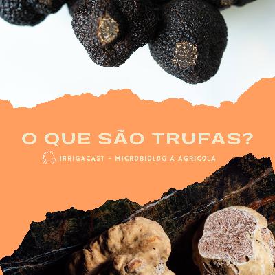 MicroCast 05 - O que são trufas? MicroCast 05 - O que são trufas?