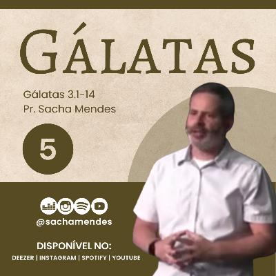 Série Gálatas - Dia 5 - Gálatas 3.1-13 - Sacha Mendes