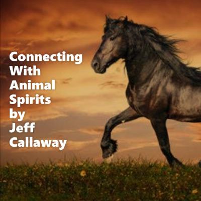 HORSE SPIRIT GUIDED SHAMANIC JOURNEY