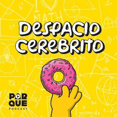 Charla con Miguel Solinas (Parte 2): aprender a programar y el futuro del desarrollo de software