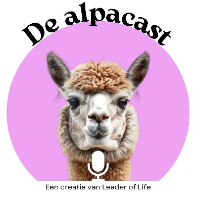 24: De mentale tol van materialisme 24: De mentale tol van materialisme