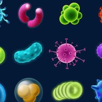 ¿Los virus estan vivos?¿Es posible definir la vida en terminos cuenteficos? ¿Los virus estan vivos?¿Es posible definir la vida en terminos cuenteficos?