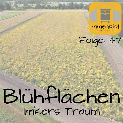 Immenkist - Folge 47: Blühflächen - Imkers Traum