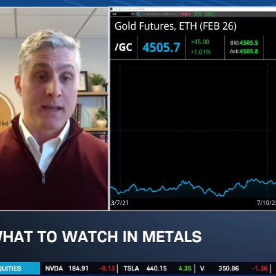 Explaining the ‘Great Divergence’ in Metals, Grains, and Energy Commodities Explaining the ‘Great Divergence’ in Metals, Grains, and Energy Commodities