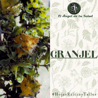 El Ángel de tu Salud - Granjel**