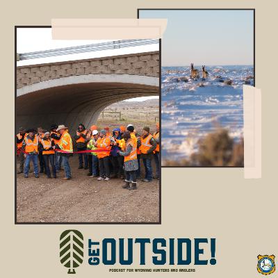 Wyoming Range Outlook/Dry Piney Underpasses