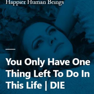You Only Have One Thing Left To Do In This Life DIE