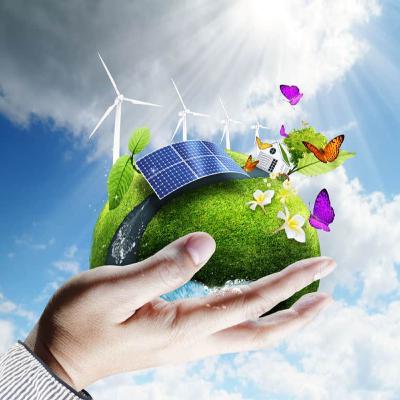 Energía y medio ambiente: Energía y fuentes renovables