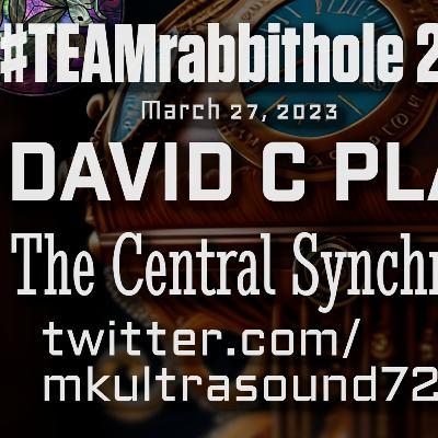 #TEAMrabbithole 288 | David Charles Plate - The Central Synchronizer - March 27, 2023