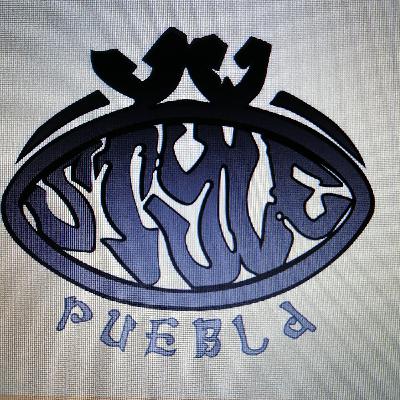 vw automatic stick shift