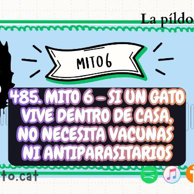485. Mito 6 - Si un gato vive dentro de casa, no necesita vacunas ni antiparasitarios