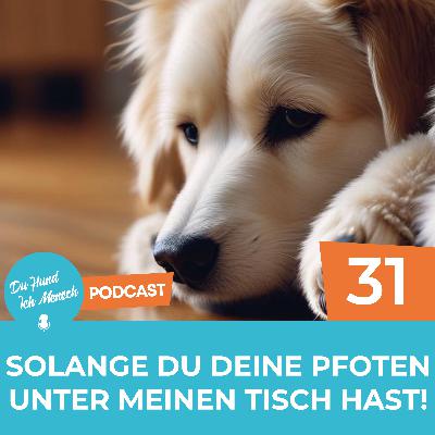 31# Solange du deine Pfoten unter meinen Tisch hast! 31# Solange du deine Pfoten unter meinen Tisch hast!