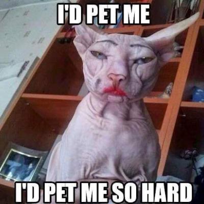 259. Wednesday Extra with Mike Williams and Trev Warner