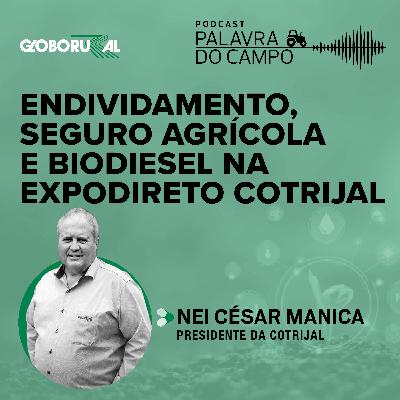 Endividamento, seguro agrícola, biodiesel e a renda do produtor no RS