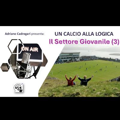 Il Settore Giovanile (3)