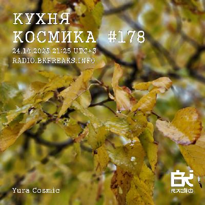 Dj Cosmic - Kukhnya Kosmika 178 mix 24.10.2025