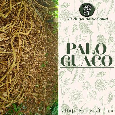El Ángel de tu Salud - Palo Guaco**