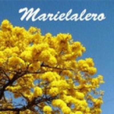 ⚠️Guardianes de la Naturaleza - Marielalero FIR #144