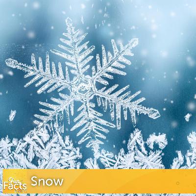 Fun Facts About Snow