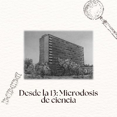 Del videojuego al laboratorio: la prometedora historia de Sonic Hedgehog