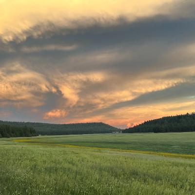モンスーンとオリンピック モンスーンとオリンピック