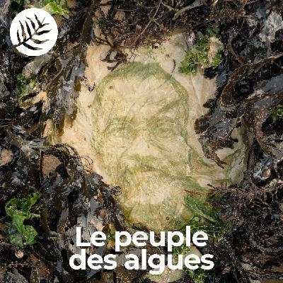 Le Peuple Des Algues : Nicolas Floc'h - Ep4/10
