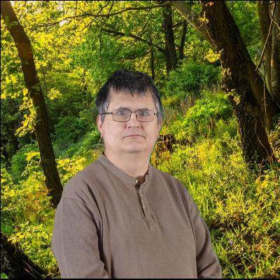 Ősi tölgyeseink nyomában