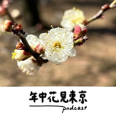 〈ゲスト：ましろ〉家をコメダにするというルポルタージュ【#44】