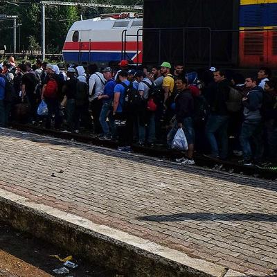 USA’s Southern Border Crisis USA’s Southern Border Crisis