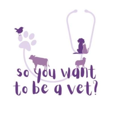How to prepare before vet school How to prepare before vet school
