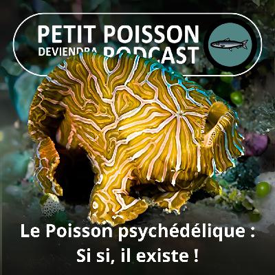 S05E06 Le Poisson psychédélique : le plus space des habitants des mers
