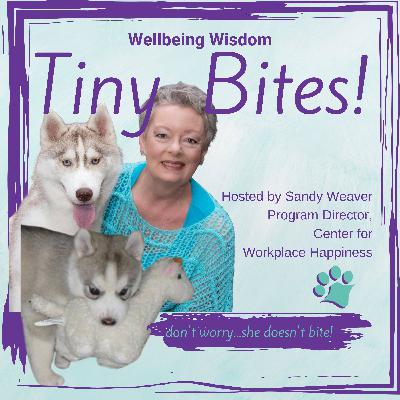 Turning "What Now?" into "Watch Me!" - Wellbeing Wisdom Tiny Bites Podcast